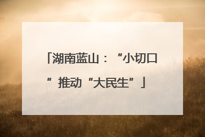 湖南蓝山：“小切口”推动“大民生”